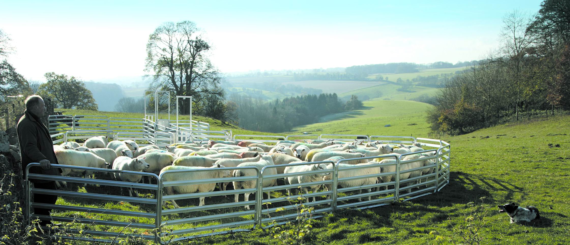 mobile sheep handling systems